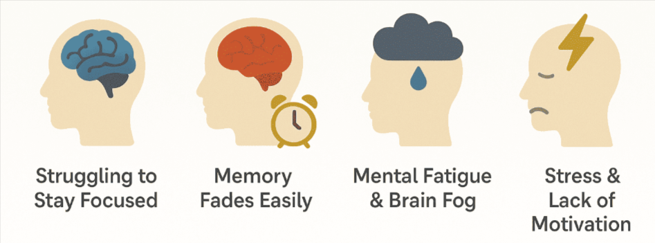 Benefits of Neurozenix Focus+